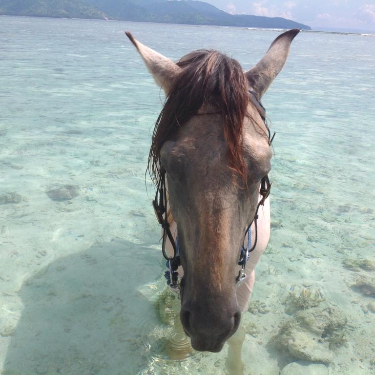 Gili T Sugar Shack Hotel กีลีตราวางัน ภายนอก รูปภาพ